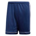 thumb COL-0398-008