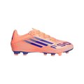 thumb FBA-8006-042